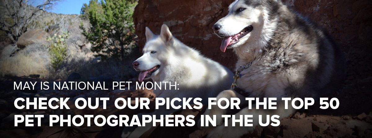 May is National Pet Month: Check Out Our Picks for the Top 50 Pet Photographers in the US