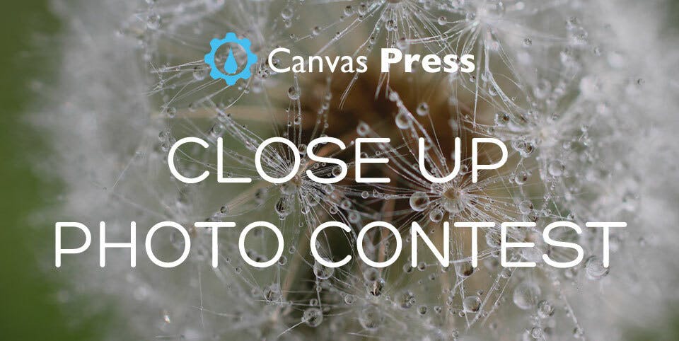 Close Up Photo Contest - Open For Entries