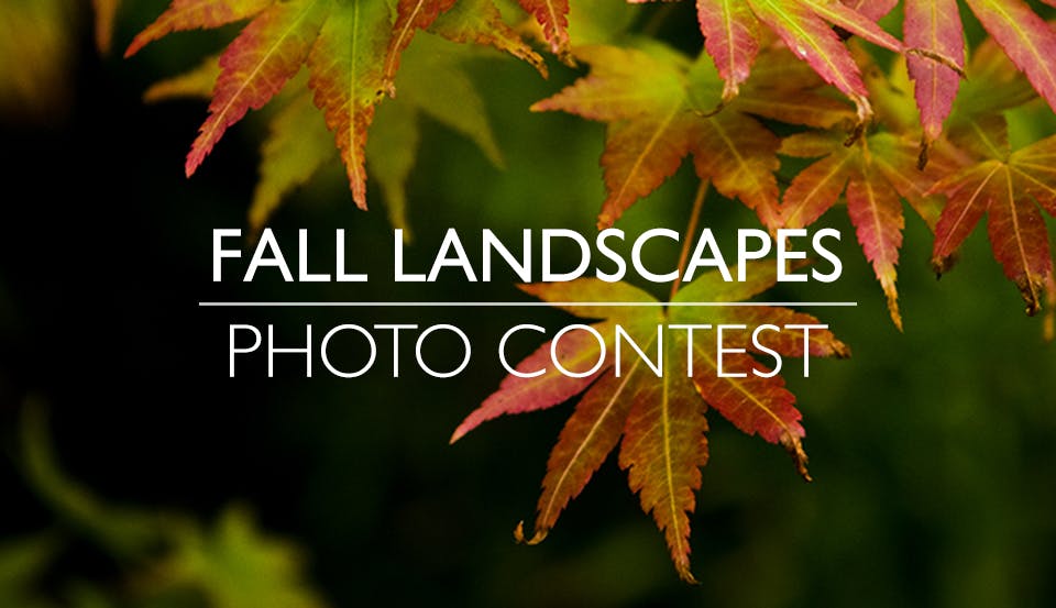 Fall Landscapes Photo Contest