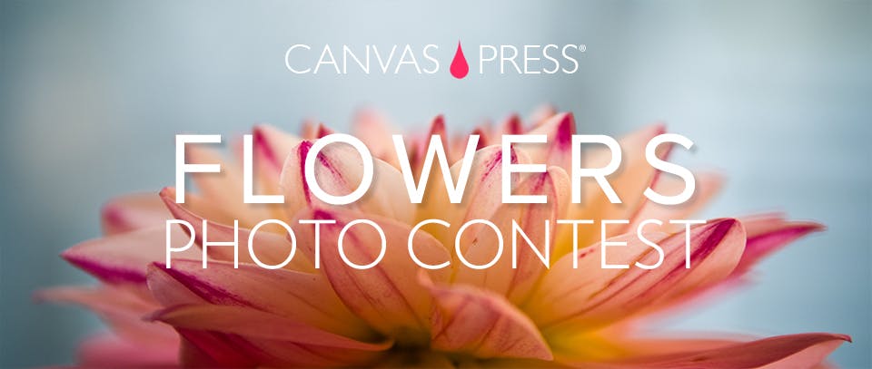 Canvas Press Photo Contest - Flowers
