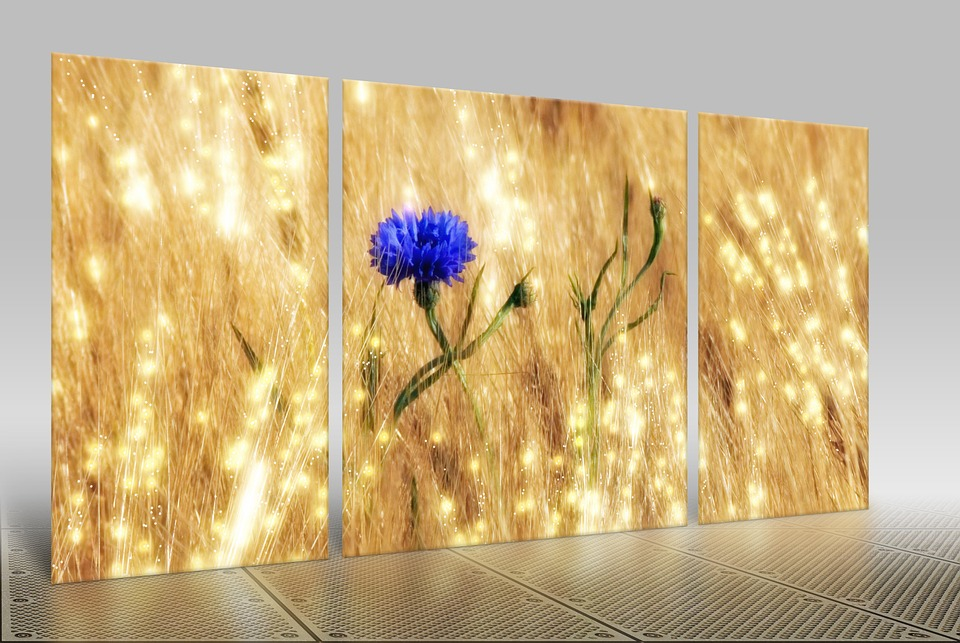 Everything You Need to know About Triptych Canvas Prints